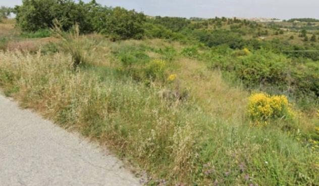 Immobile in asta di 20435 m² in vendita a Ripatransone - Foto 4