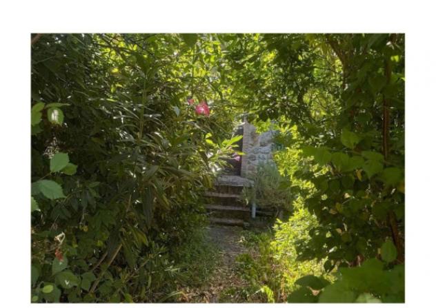Immobile in asta di 49 m² in vendita a Roccastrada - Foto 6