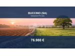 Immobile in asta di 19959 m² in vendita a Buccino