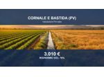 Immobile in asta di 246 m² in vendita a Cornale e Bastida