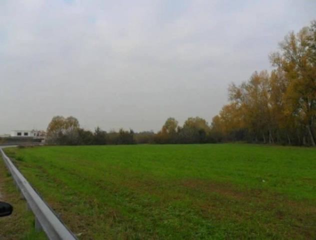 Immobile in asta di 34013 m² in vendita a Monte Cremasco - Foto 3