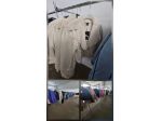 Stock di abbigliamento donna firmato XT STUDIO