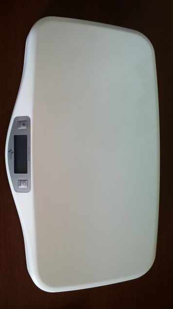 Pesa elettronica