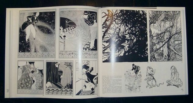 LIBRO D'ARTE Illustrazione Art Nouveau (Liberty Jugendstil) Laterza, 1989 - Foto 7