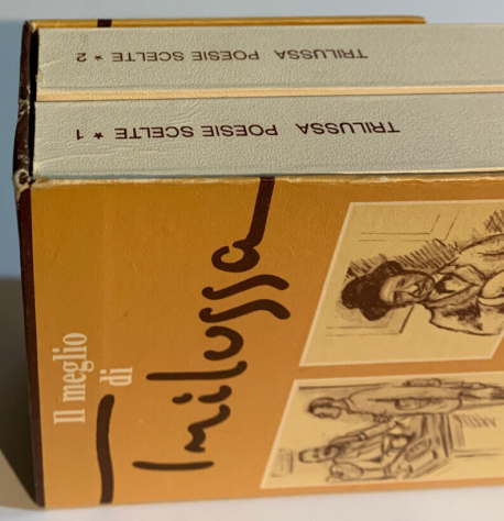 Il meglio di Trilussa, cofanetto POESIE SCELTE 1 e 2, Mondadori 1978. - Foto 10