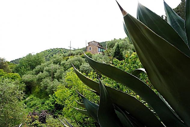 Villa in vendita a Pieve di Compito - Capannori 170 mq Rif: 1349586 - Foto 2