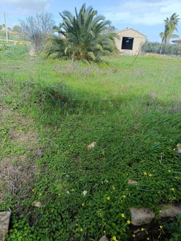 Terreno in vendita a Lentini - Foto 8