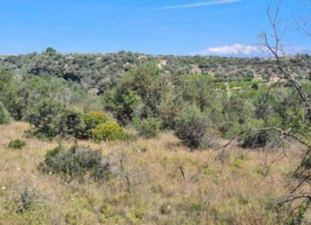 Immobile in asta di 75757 m² in vendita a Melilli - Foto 4
