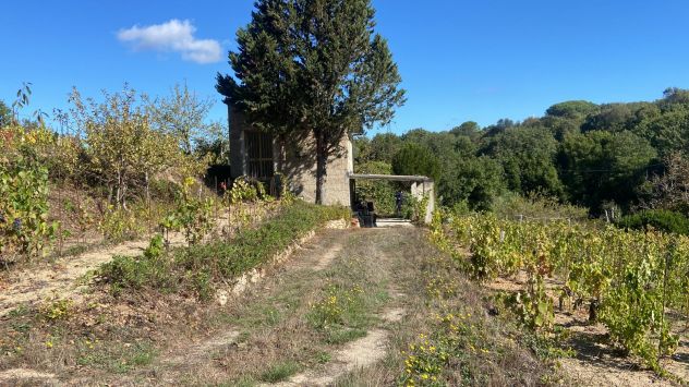 CASA DI CAMPAGNA in Vendita a Tempio Pausania - Foto 5