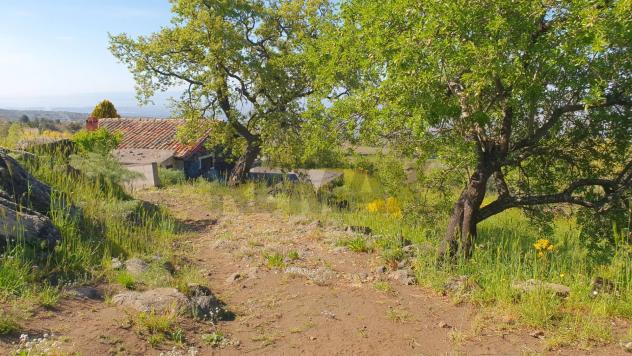 Terreno in vendita a Biancavilla - Foto 3