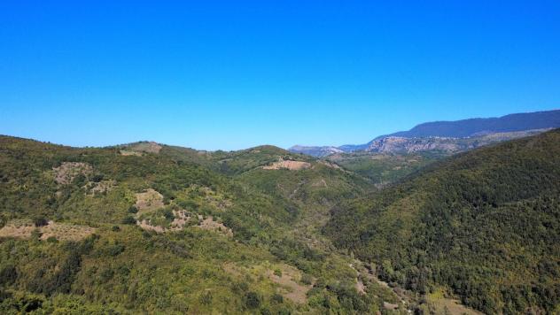 Agricolo in Serroni - Foto 4