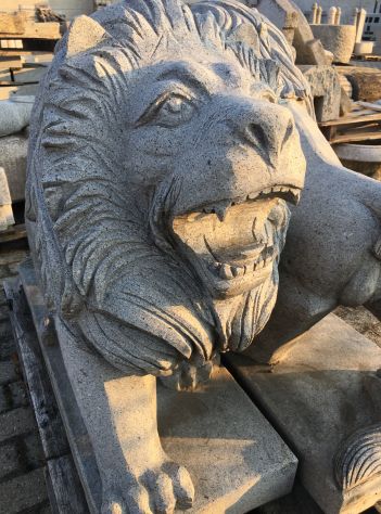 Coppia di leoni in pietra granito - Foto 4