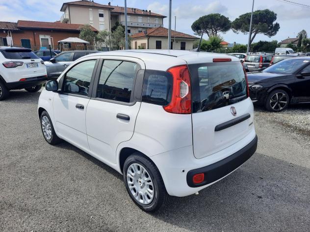 FIAT Pandina PANDA MY26 1.0 65CV HYBRID ICON - Foto 5