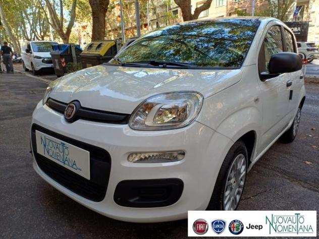 FIAT Panda Pandina 1.0 FireFly S&S Hybrid Icon Km0 rif. 24003074 - Foto 2