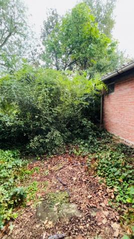 Terratetto in vendita a Lunata - Capannori 163 mq Rif: 1449502 - Foto 5