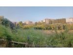 Floridia: terreno agricolo in paese di mq 12000