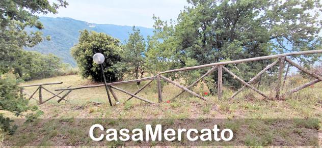Agricolo in vendita a Rocca di Papa - Foto 15