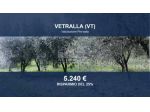 Immobile in asta di 5870 m² in vendita a Vetralla