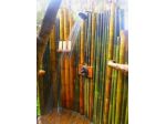 Canne di bambù bambu bamboo con diametro da 1 a 10 cm.