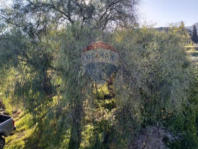 Terreno in vendita a Caltagirone, Santo Pietro - Foto 3