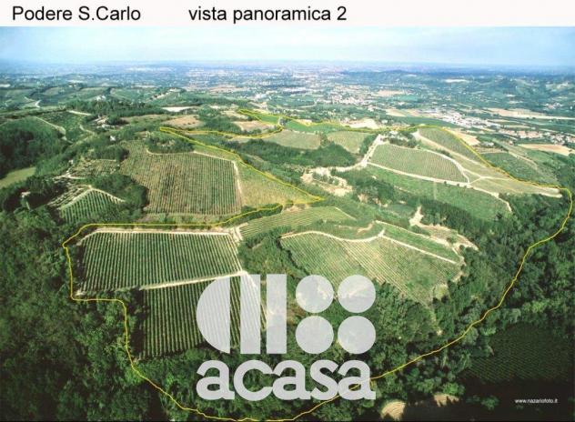AZIENDA AGRICOLA SAN CARLO - Foto 11