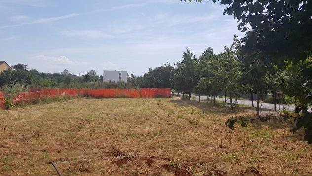 VIA CIMABUE - TERRENO EDIFICABILE - Foto 4