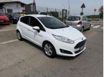 Ford Fiesta 1.4 5 porte Bz.- GPL Black & White Edition