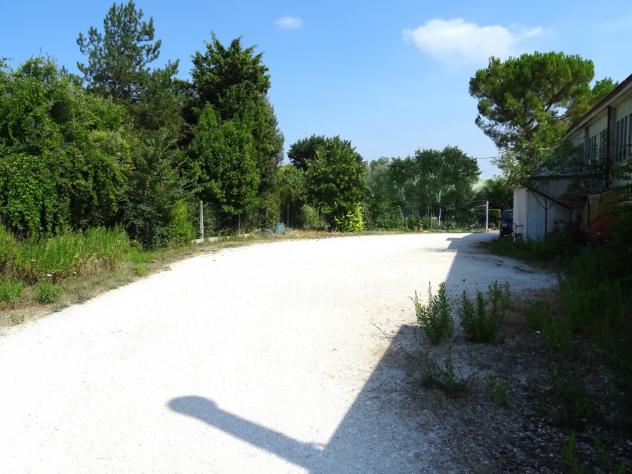Capannone / Fondo in affitto a Mondavio - Foto 5