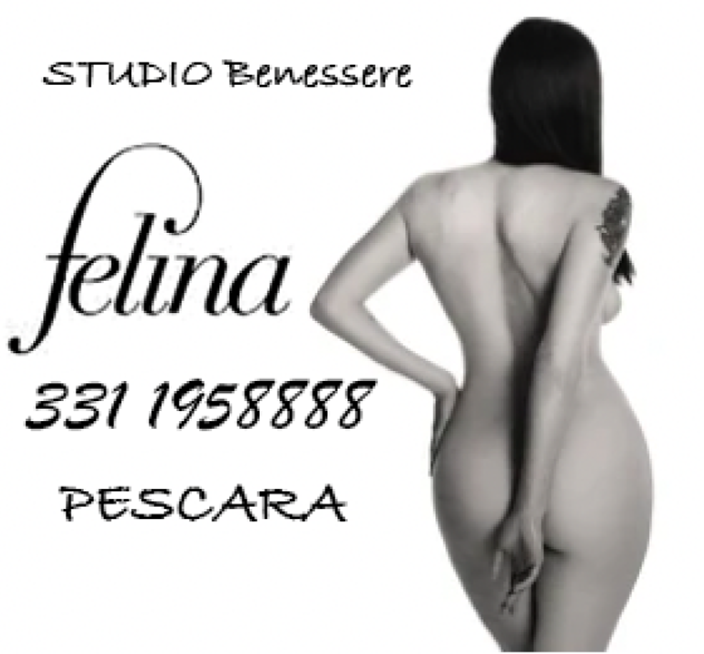 FELINA Studio : **** UN SENSUALE MASSAGGIO INTEGRALE - GRADE SORPRESA Tel:3311958888