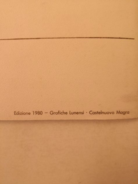 Libro "...per ricordare" la storia di Lerici (La Spezia) e frazioni, del 1980 - Foto 9