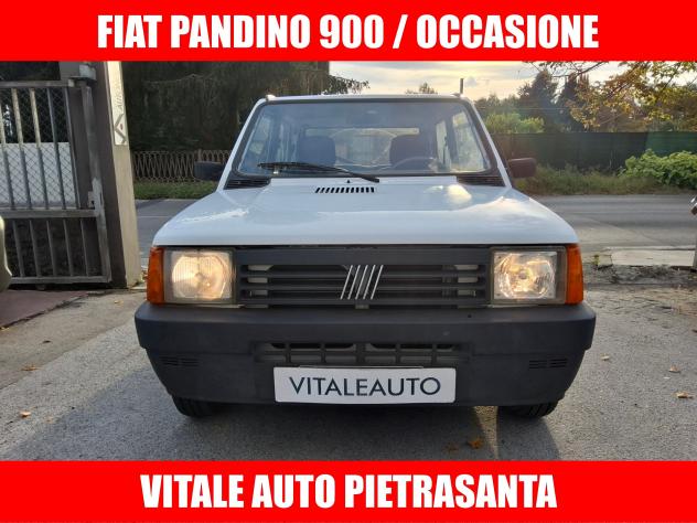 Fiat Panda 900 i.e. cat Young