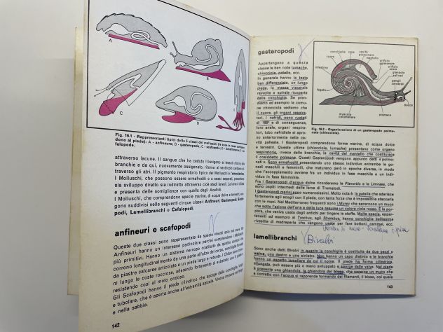 Elementi di biologia 1, Giuseppe Cognetti, edizioni Calderini (1972) - Foto 9