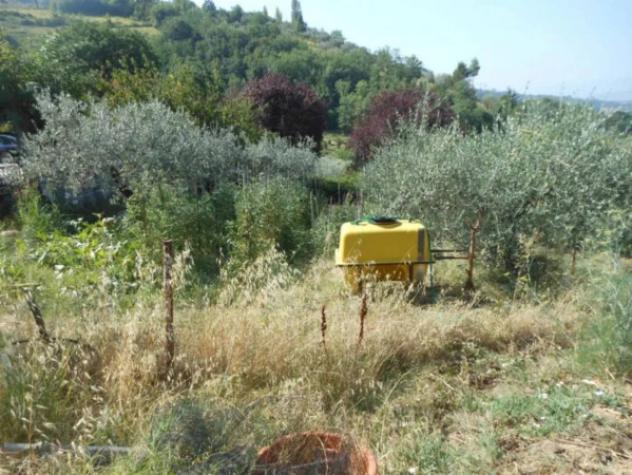 Immobile in asta di 11994 m² in vendita a Foligno - Foto 2