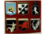 Gli stemmi 6 (sei)metallo degli attuali Reparti dell'Aeronautica Militare nuovo
