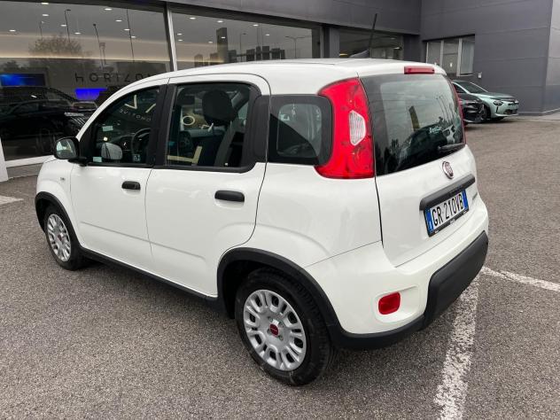 FIAT Panda Panda 1.0 FireFly S&S Hybrid - Foto 7