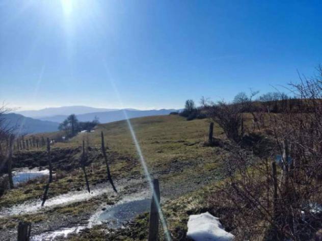 Immobile in asta di 130855 m² in vendita a Verghereto - Foto 8