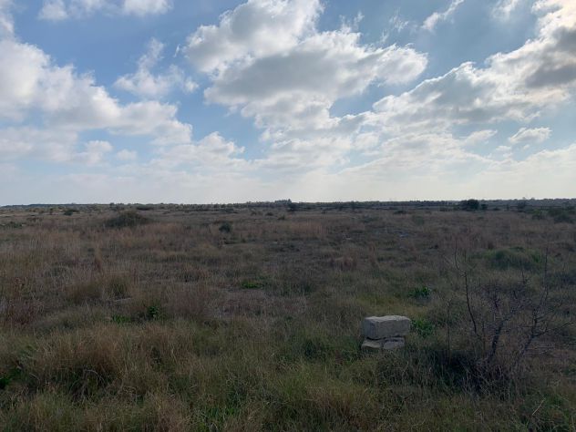 LECCE 5 ETTARI TERRENO AGRICOLO - Foto 3