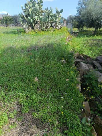 Terreno in vendita a Lentini - Foto 7