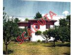 Immobile in asta di 283 m² in vendita a Artena