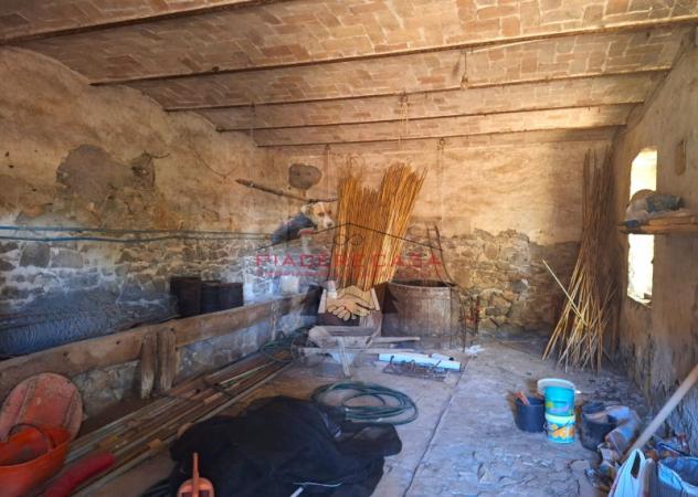 Lubriano - Sul confine tra Orvieto e Lubriano, casale con annessi e 11 ha di terreno in vendita. - Foto 9