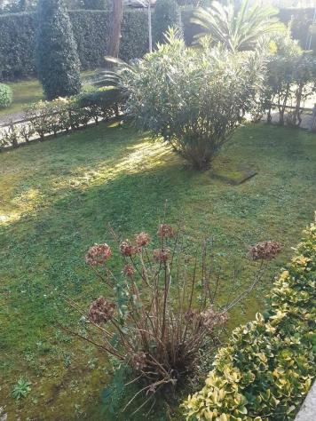 Appartamento in vendita a Ronchi - Massa 70 mq Rif: 1390819 - Foto 3