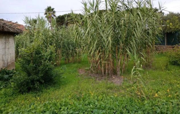 Immobile in asta di 59 m² in vendita a Nettuno - Foto 9