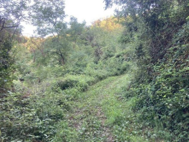 Immobile in asta di 5730 m² in vendita a Calcinate - Foto 9