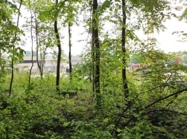 Immobile in asta di 3501 m² in vendita a Valmorea - Foto 3