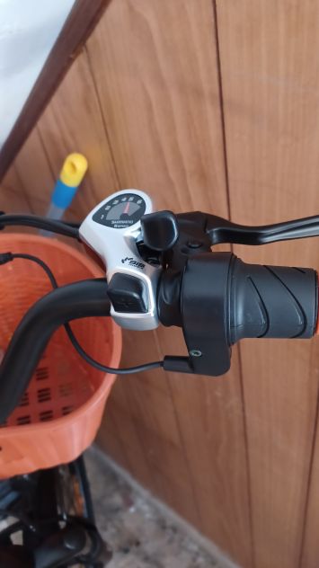 Bicicletta elettrica - Foto 3