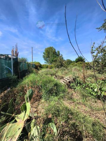 Terreno Agricolo - San Giovanni in Marignano . Rif.: Terrasgm10 - Foto 4