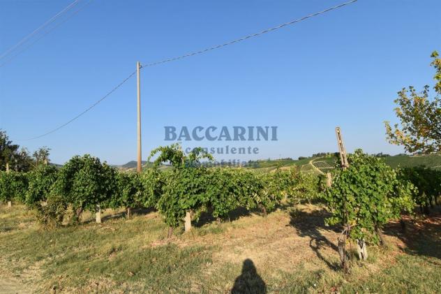 PROPRIETA' BRISIGHELLA - VIA LODOLONE 29 - Foto 12