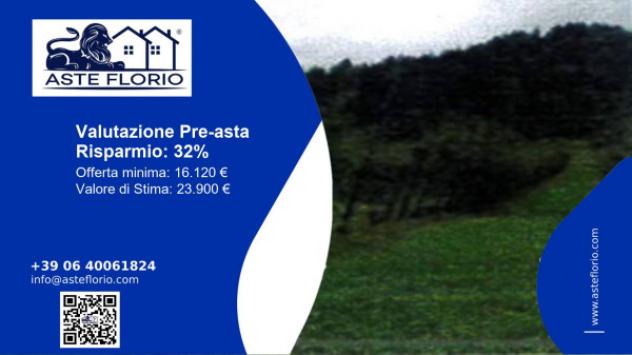 Immobile in asta di 13095 m² in vendita a Verzegnis