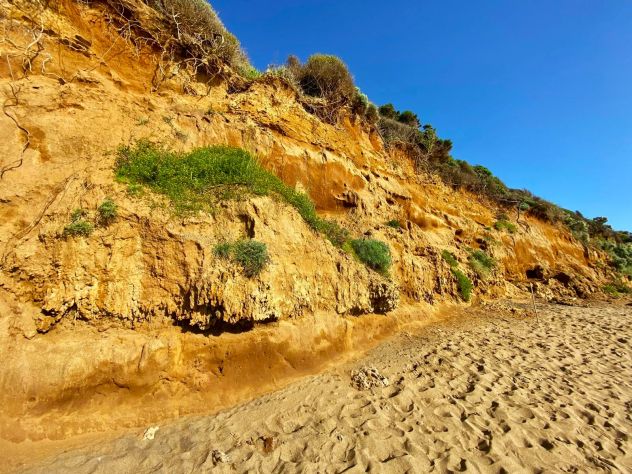 Appartamento in affitto a Campiglia Marittima vicino al mare - Foto 4