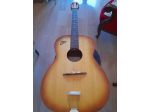 Eko Guitars Fiesta